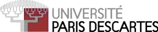 logo p5